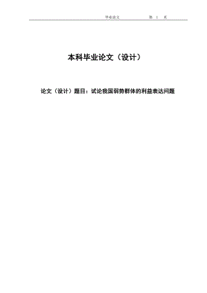 2375.试论我国弱势群体的利益表达问题毕业论文.doc