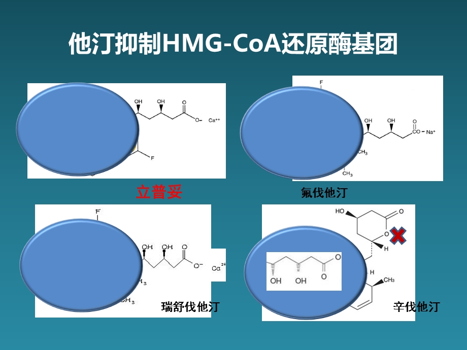 从机制探讨他汀疗效与安全性.ppt_第3页