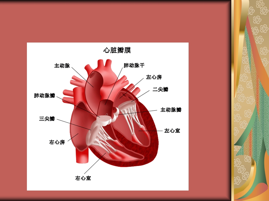 心脏瓣膜置换术后的护理.ppt_第3页