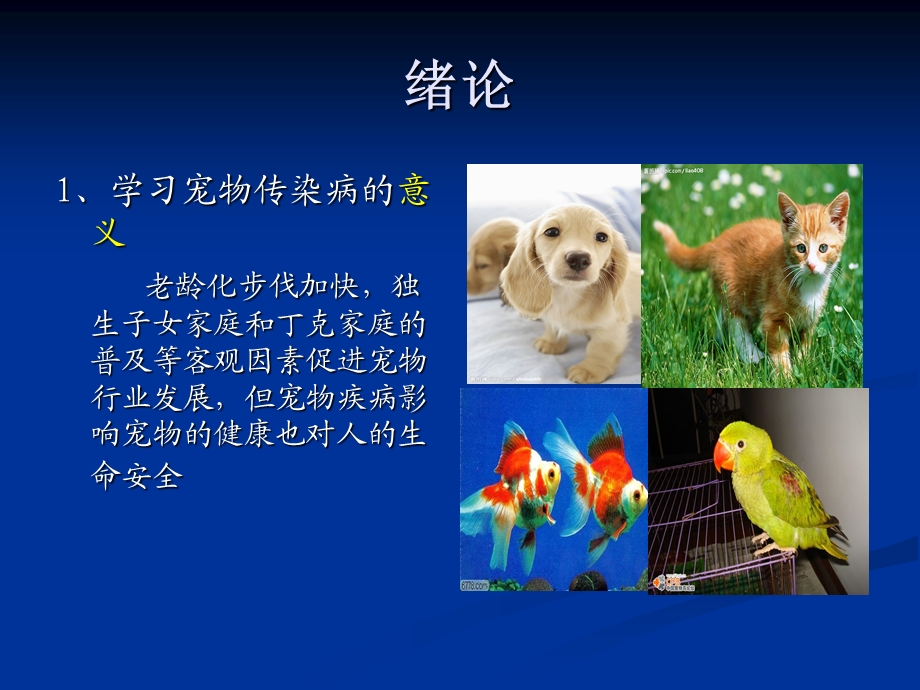 宠物传染病总论.ppt_第3页