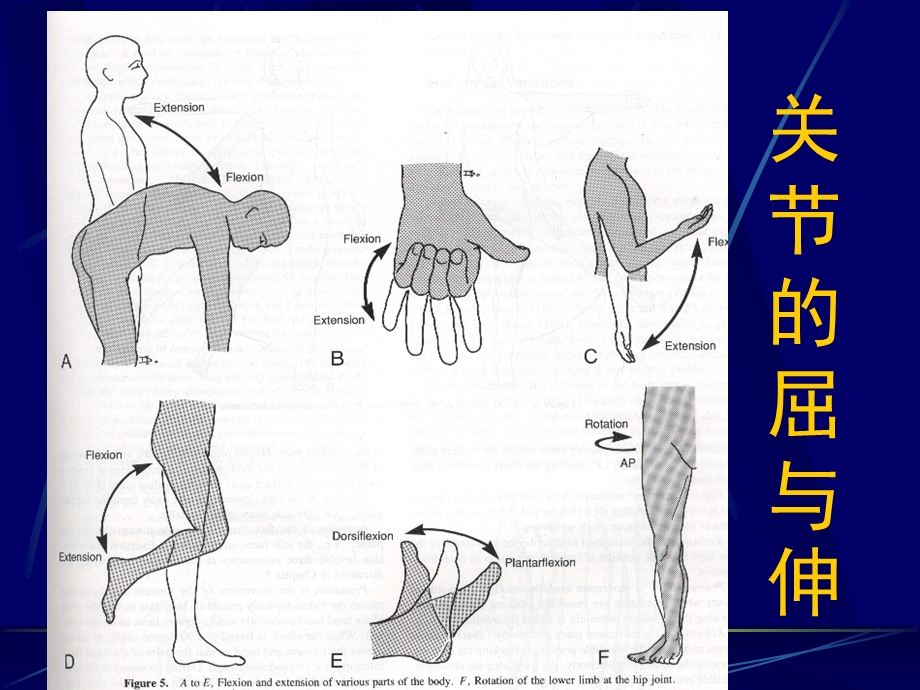 关节治疗技术ppt演示文稿.ppt_第2页