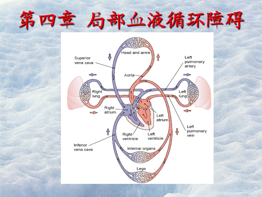 局部血液循环障碍.ppt_第1页