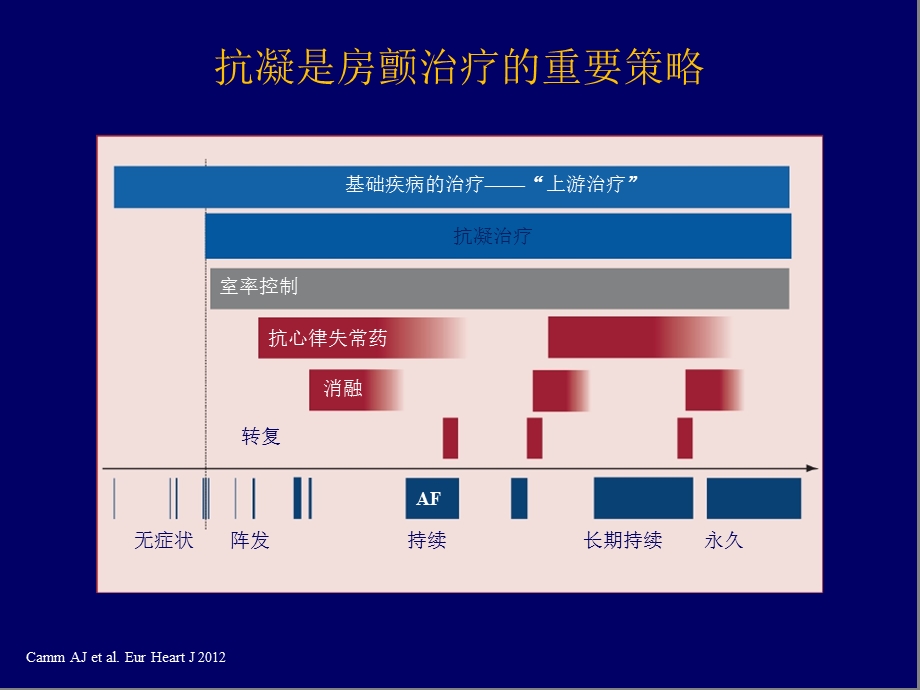 【论文资料】房颤抗凝治疗指南更新解读.ppt_第3页