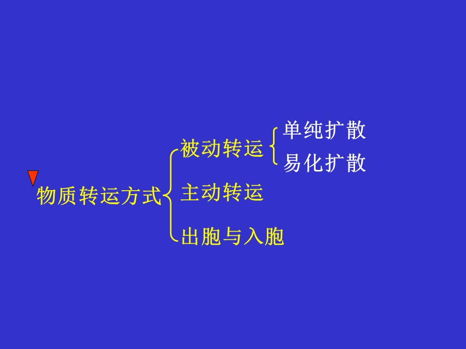 三细胞的基本功能.ppt_第3页