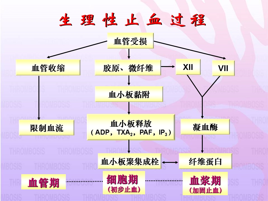 抗血小板药的临床选择课件幻灯.ppt_第3页