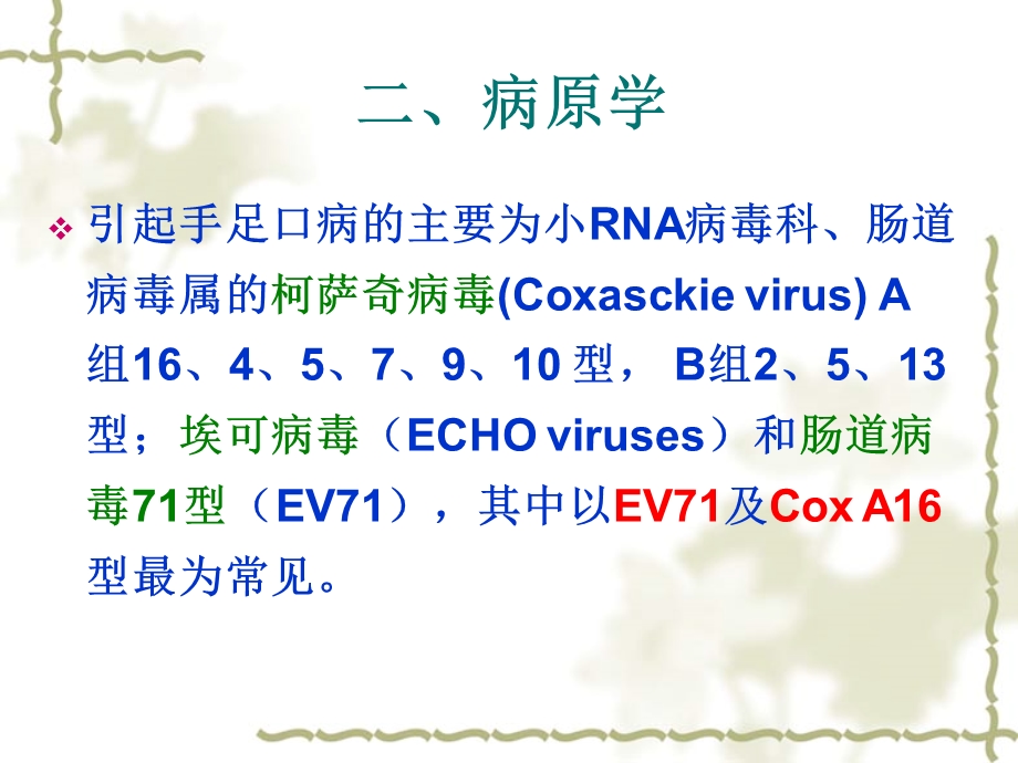 手足口病预防与控制.ppt_第3页