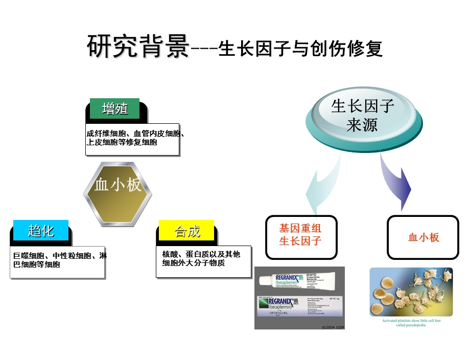 房磊冰冻干燥血小板对创伤修复的治疗作用.ppt_第3页