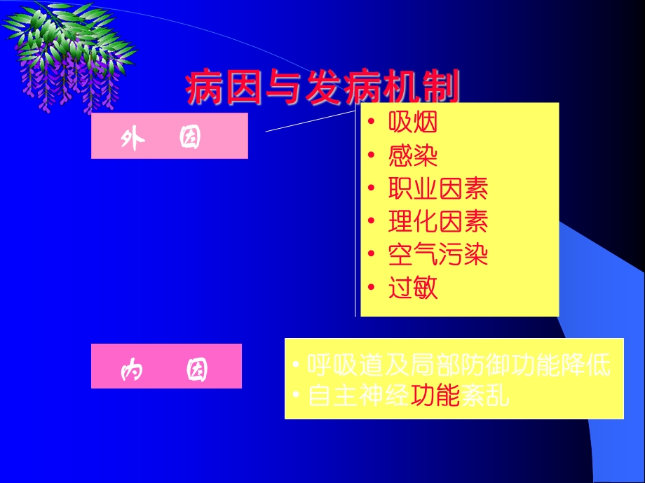 慢阻肺的护理.ppt_第3页