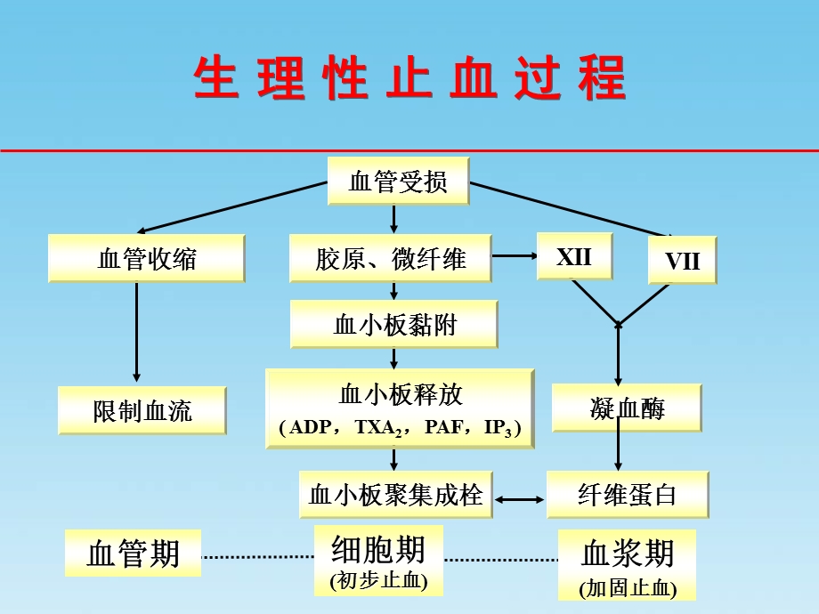 抗血小板药的临床选择.ppt_第3页