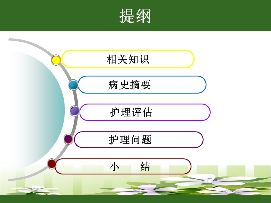 护理 查 房PPT.ppt_第2页