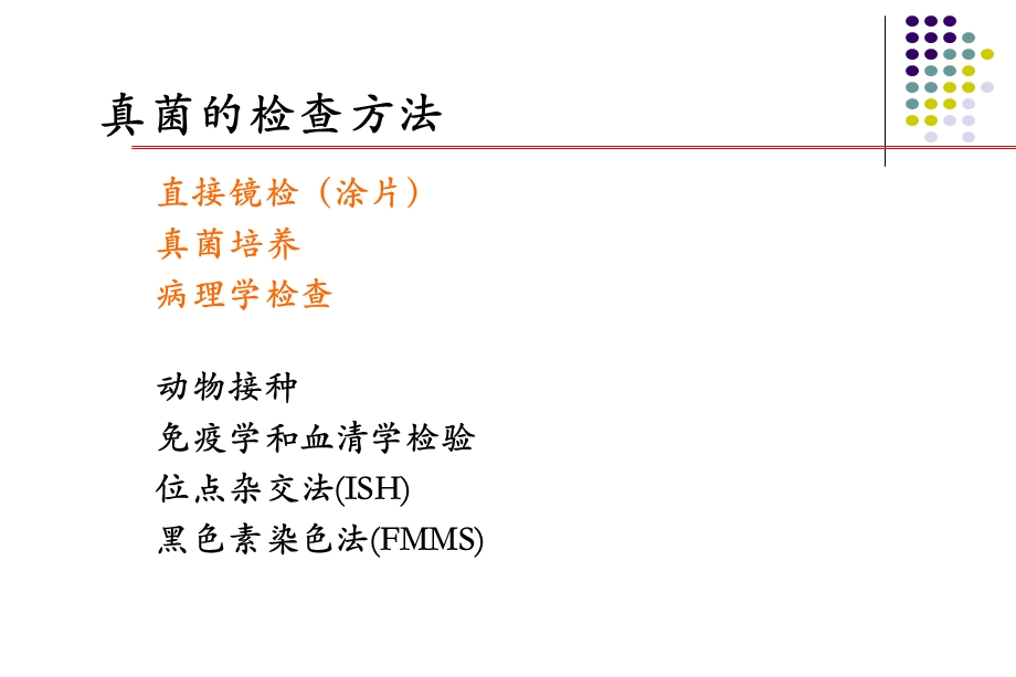 真菌性鼻窦炎.ppt.ppt_第3页