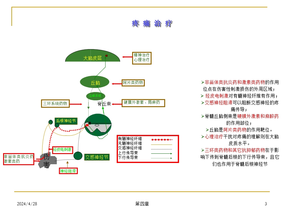 疼痛的药物治疗.ppt_第3页