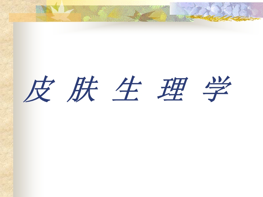 皮肤生理学ppt.ppt_第1页