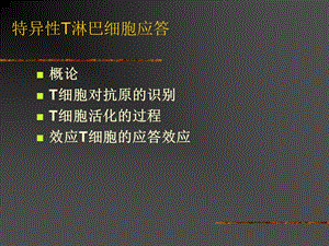 特异性T淋巴细胞应答.ppt