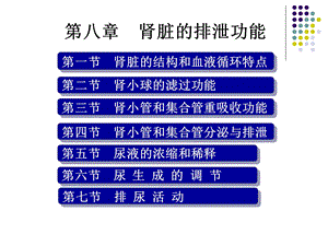 生理学肾脏的排泄功能.ppt.ppt