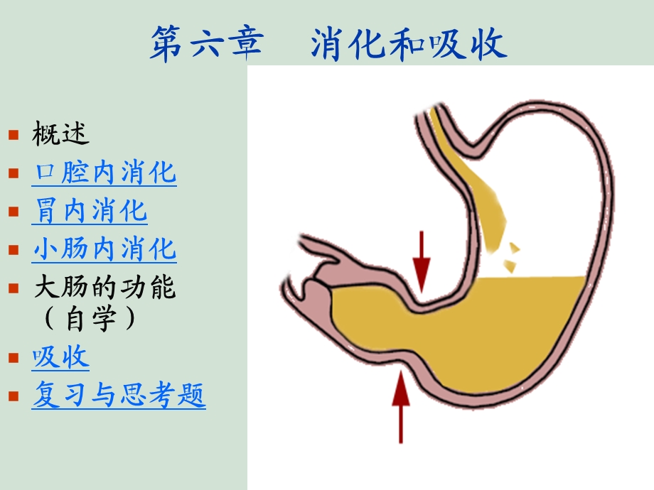 第六章消化与吸收.ppt_第1页