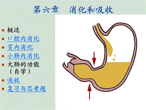 第六章消化与吸收.ppt