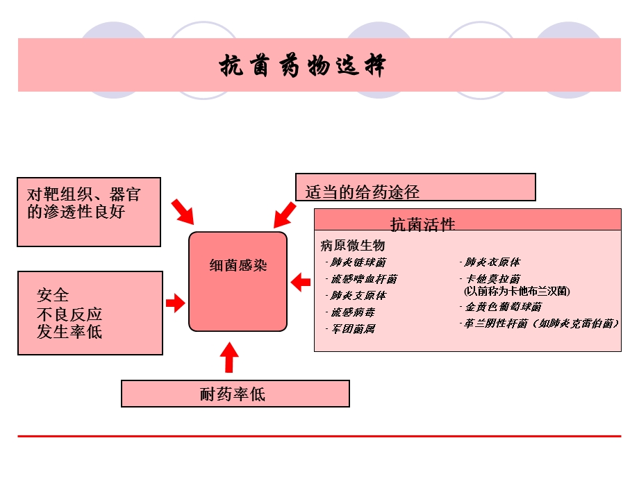 眼科感染治疗.ppt_第3页