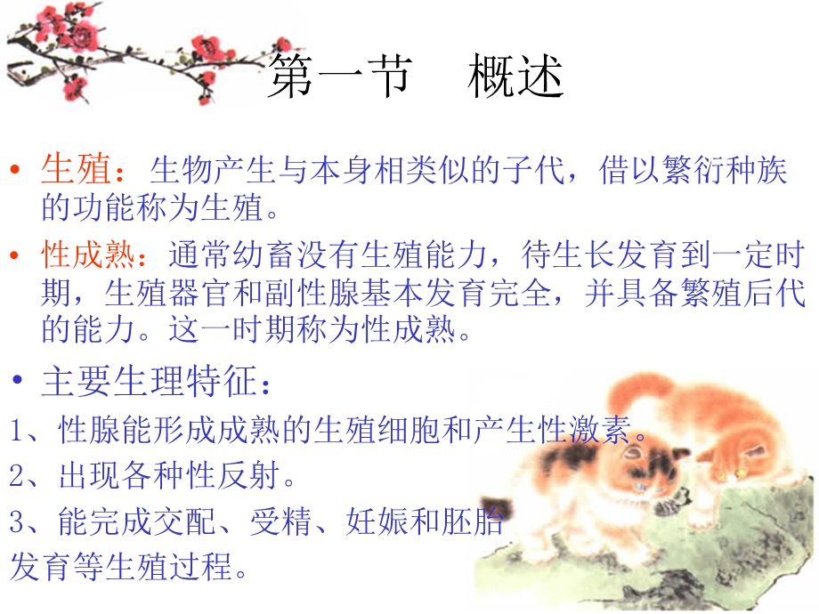 生殖系统.ppt_第3页