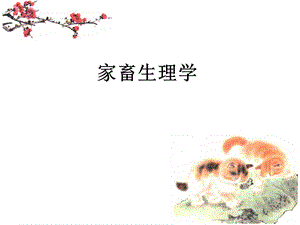 生殖系统.ppt