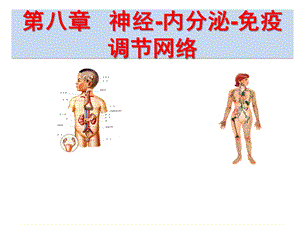 第八章 神经、内分泌与免疫系统的关系.ppt