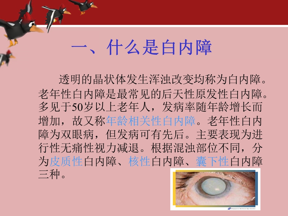 眼科常见疾病病人治疗及护理.ppt.ppt_第3页