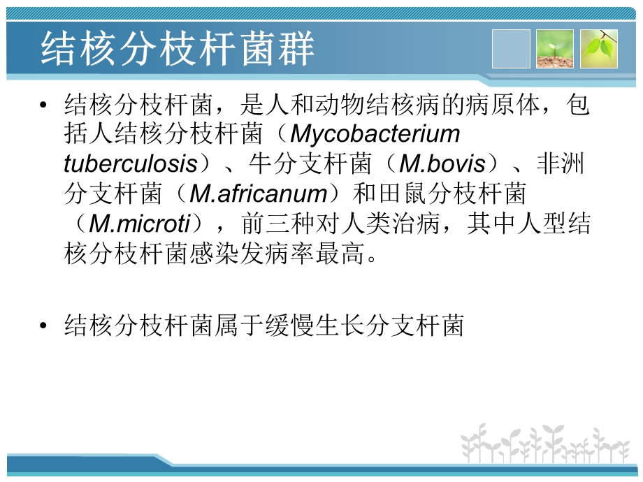 结核分枝杆菌实验室检测方法.ppt_第3页