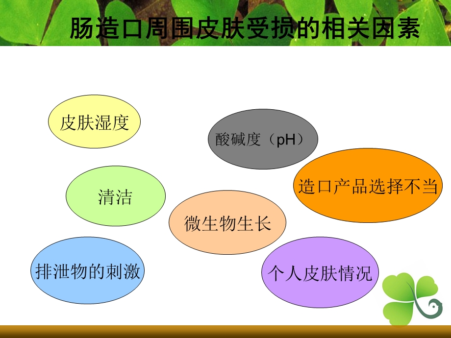 肠造口周围皮肤并发症的护理.ppt_第3页