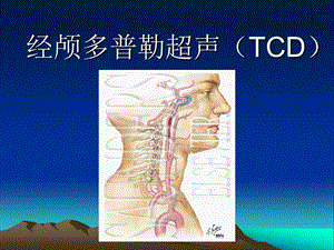 经颅多普勒超声(TCD).ppt