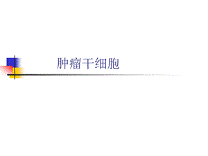 肿瘤干细胞.ppt.ppt