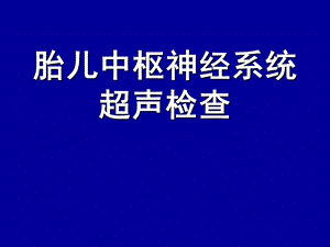 胎儿中枢神经系统超声检查.ppt