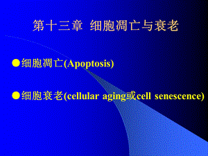 细胞衰老与凋亡.ppt