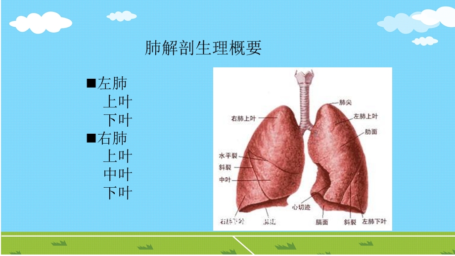 肺癌外科护理.ppt_第3页