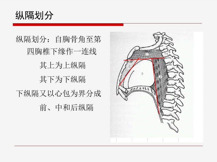 肺癌纵隔分期评估.ppt_第3页