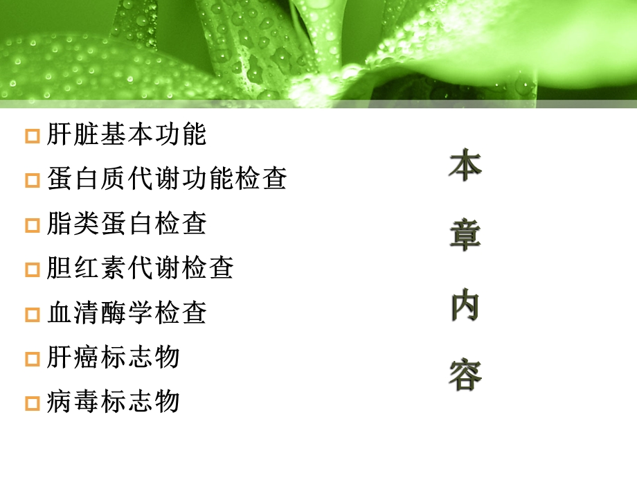 肝功能检查.ppt.ppt_第2页