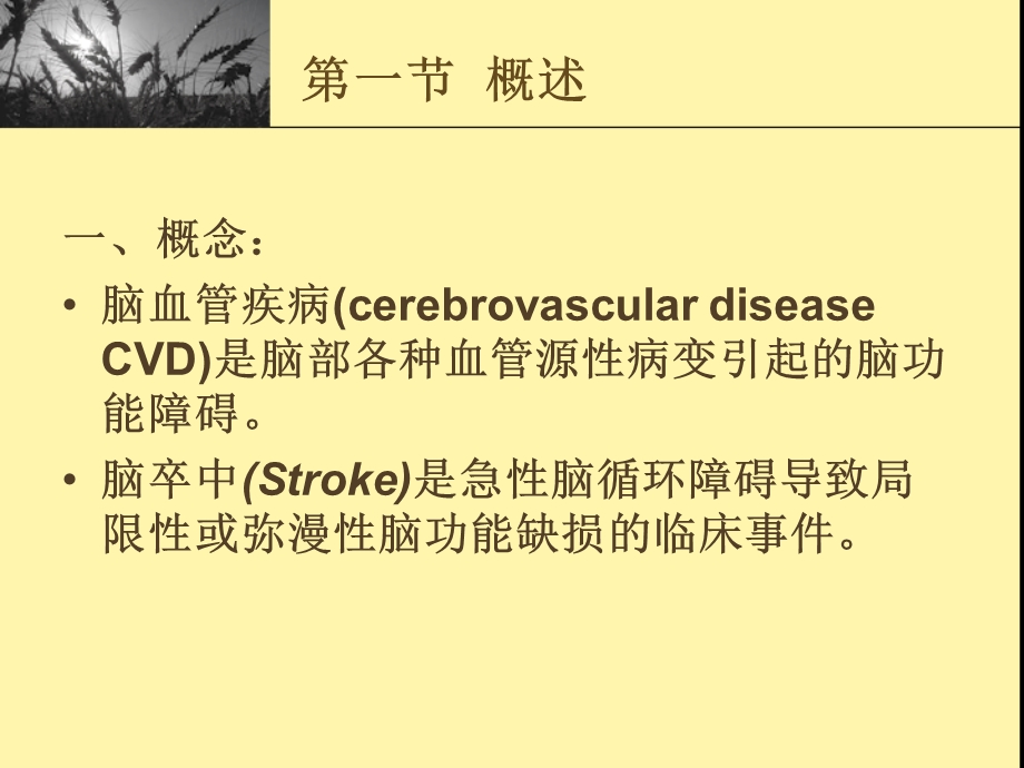 第四章 急性脑血管疾病.ppt.ppt_第2页