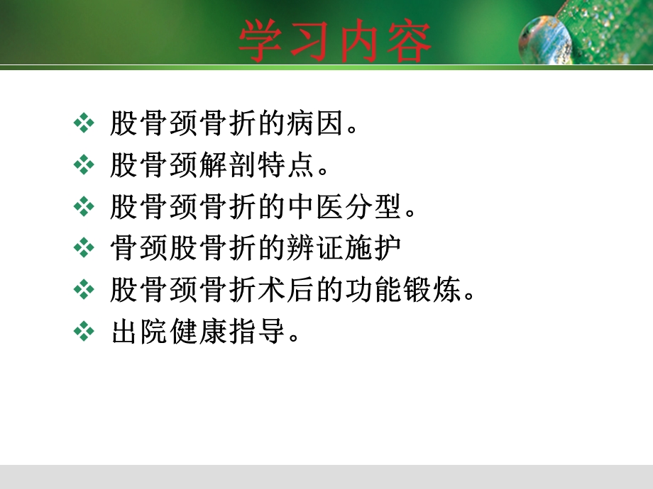 股骨颈骨折人工髋关节术后功能锻炼.ppt_第2页