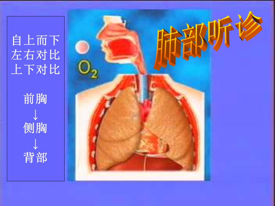 肺部听诊检查.ppt_第3页