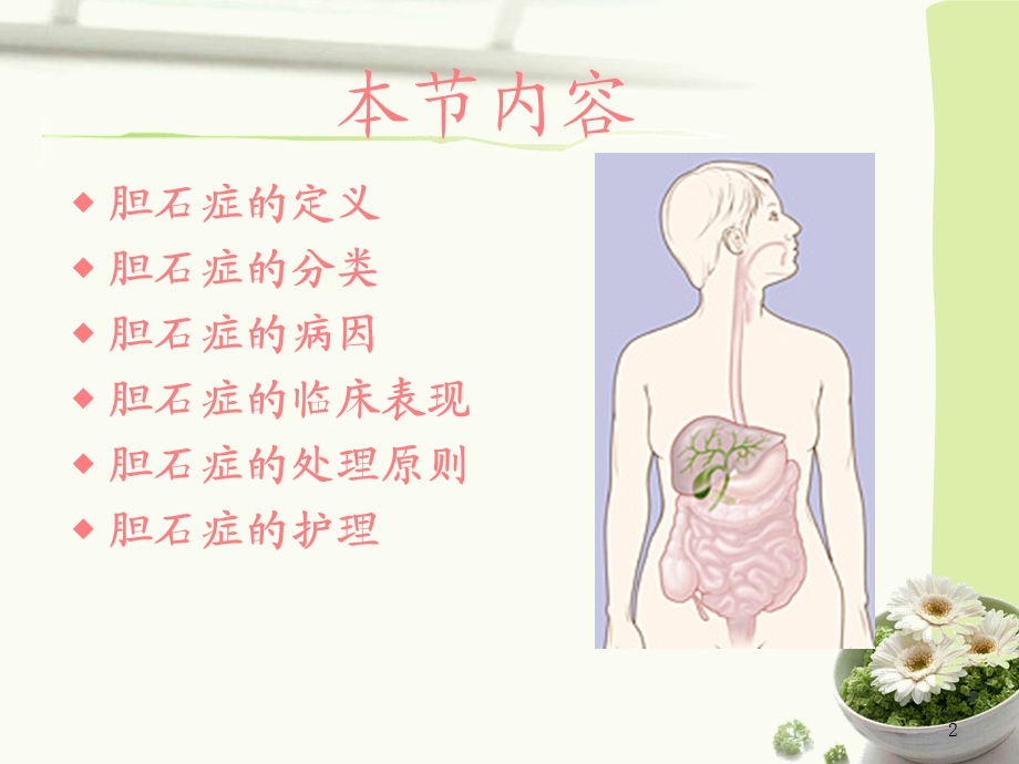 肝胆疾病的护理.ppt_第2页