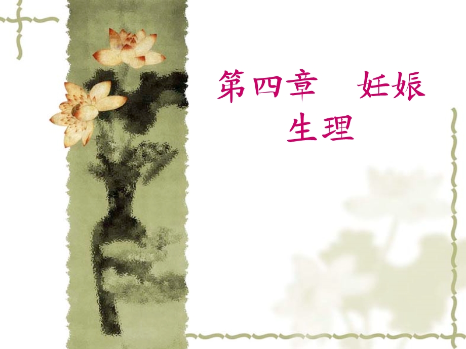 第四章妊娠生理.ppt_第1页