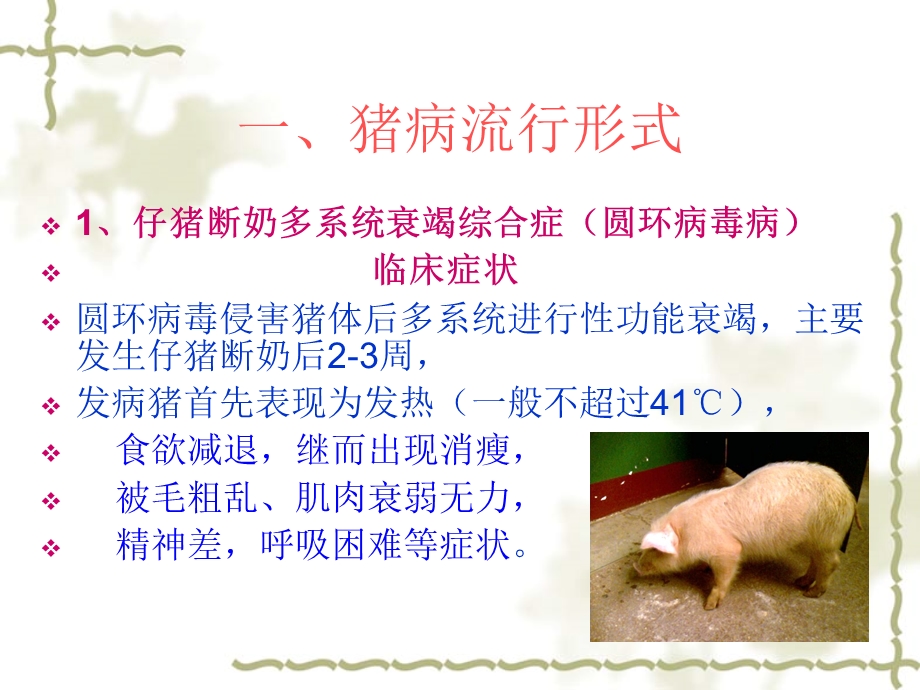 飞燕养猪场防治计划.ppt_第2页