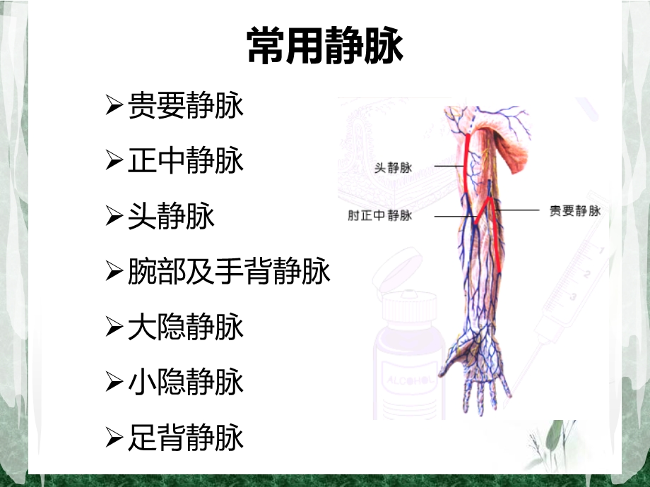 静脉穿刺技巧.ppt_第3页