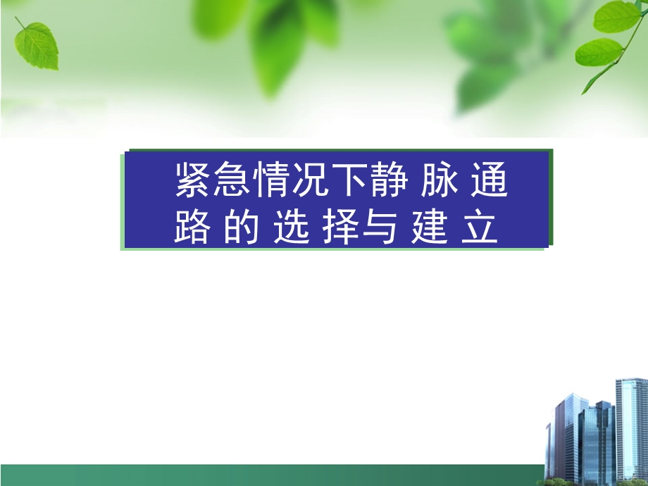 静脉通路.ppt_第1页