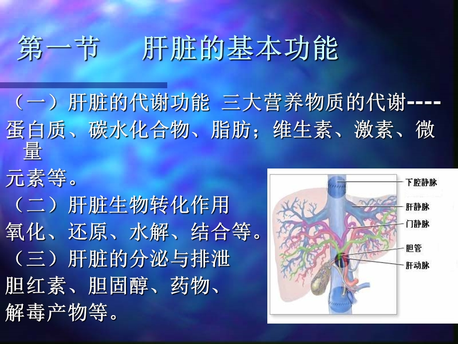 诊断学笔记——肝脏病常用的实验室检查.ppt.ppt_第2页