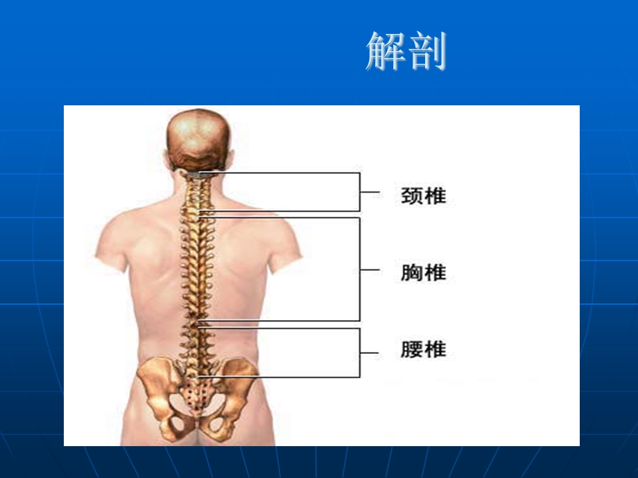 要椎间盘突出症手术治疗前后的.ppt_第2页