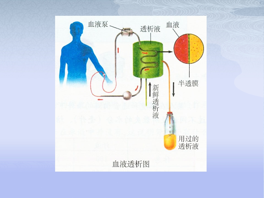 血液透析.ppt.ppt_第2页