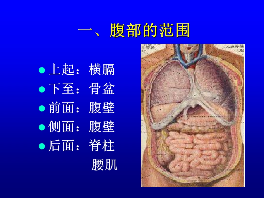 腹部检查幻灯片.ppt_第3页