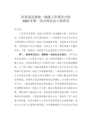 在某某县委统一战线工作领导小组2024年第一次全体会议上的讲话.docx