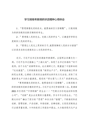 （2篇）2024年学习湖南考察调研讲话精神心得体会.docx