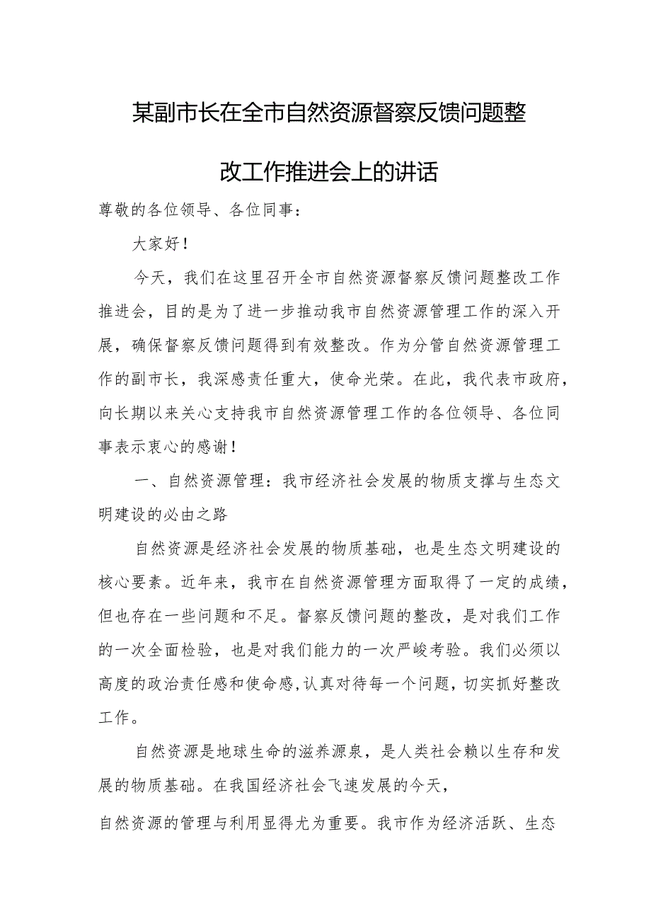 某副市长在全市自然资源督察反馈问题整改工作推进会上的讲话.docx_第1页